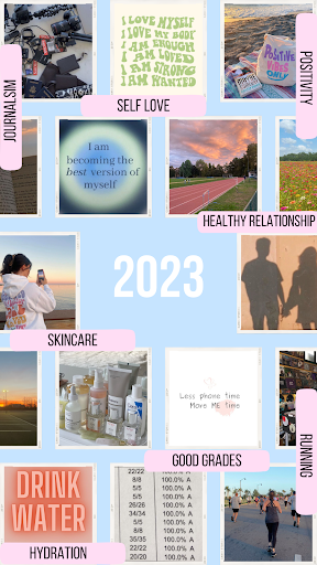 Photo Courtesy: Emily Koehrsen. To help myself keep track of my goals, I created a vision board to remind myself of what I want to achieve. Vision boards could be as simple or extravagant as you want with many goals on them.