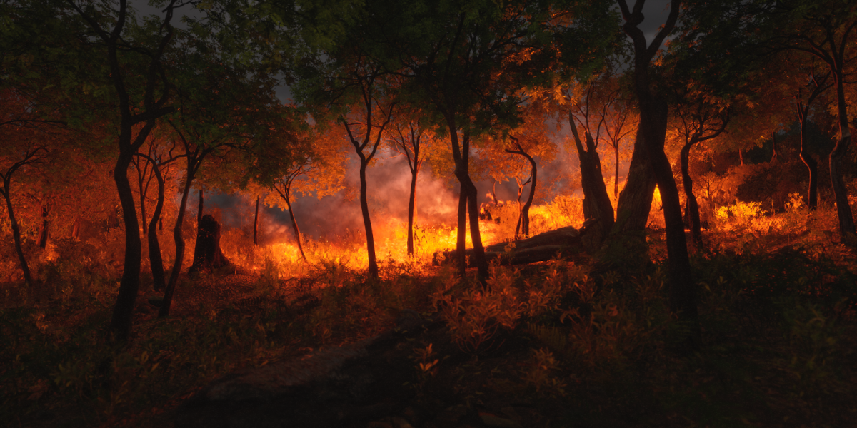 Wildfires in Australia ravage the Castle Rock Beach area in 2021. Just four years later, the same type of fires would be the ones to affect the Carolina area.
