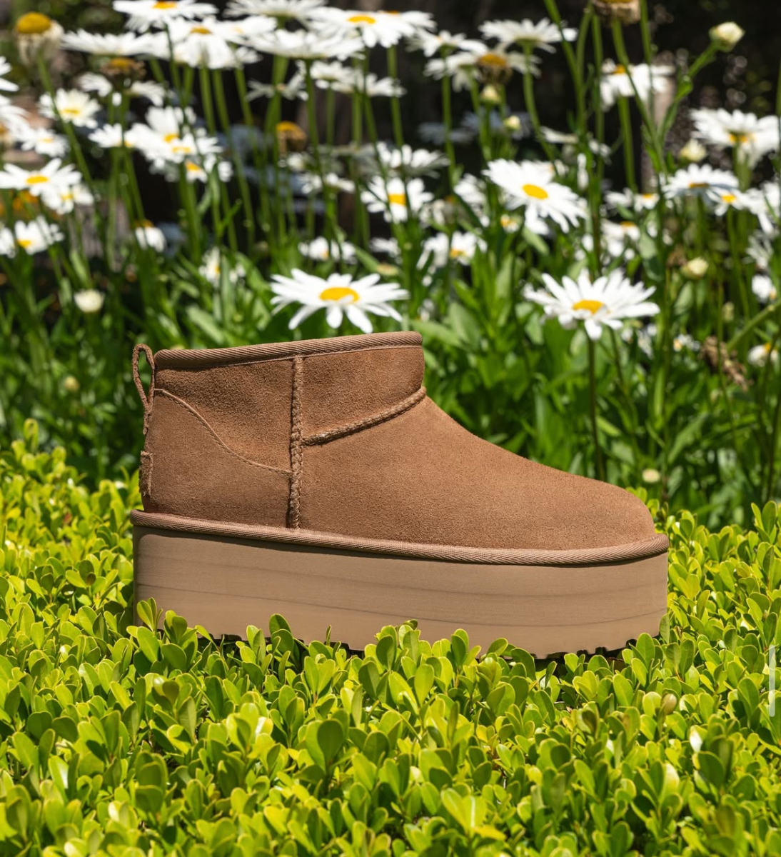  “Ugg” shoes feature release for the fall season. The word ugg was slang for ugly as the designer didn't create them to be a cute fashion piece. 
