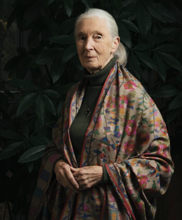 Jane Goodall leaves legacy