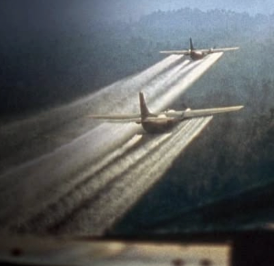 Agent Orange's toxic legacy endures in Vietnam