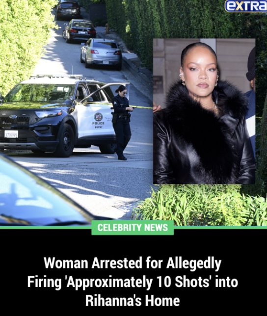Shots outside Rihanna’s home shock LA